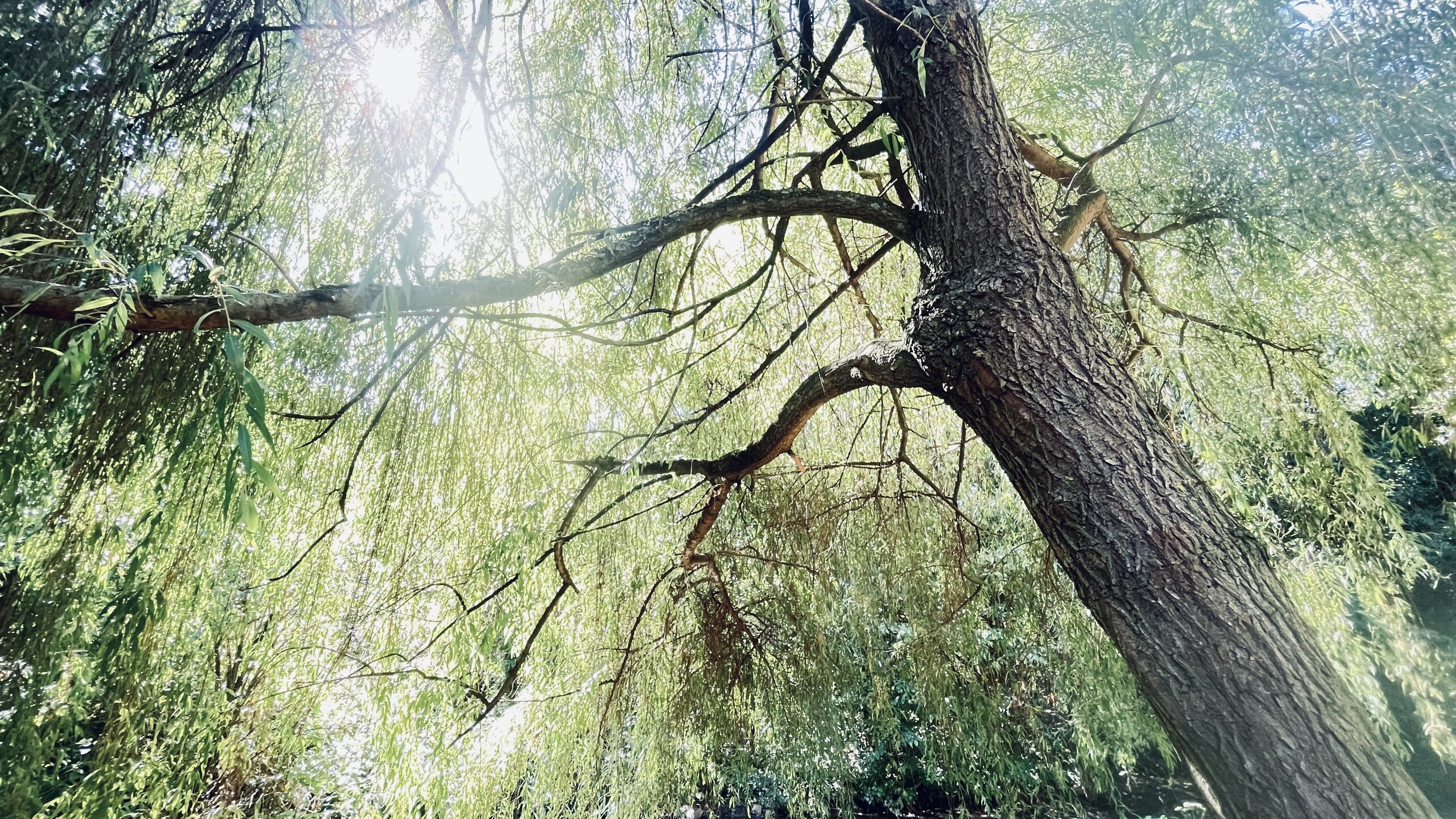 Contast though Light and Shadow – image 1