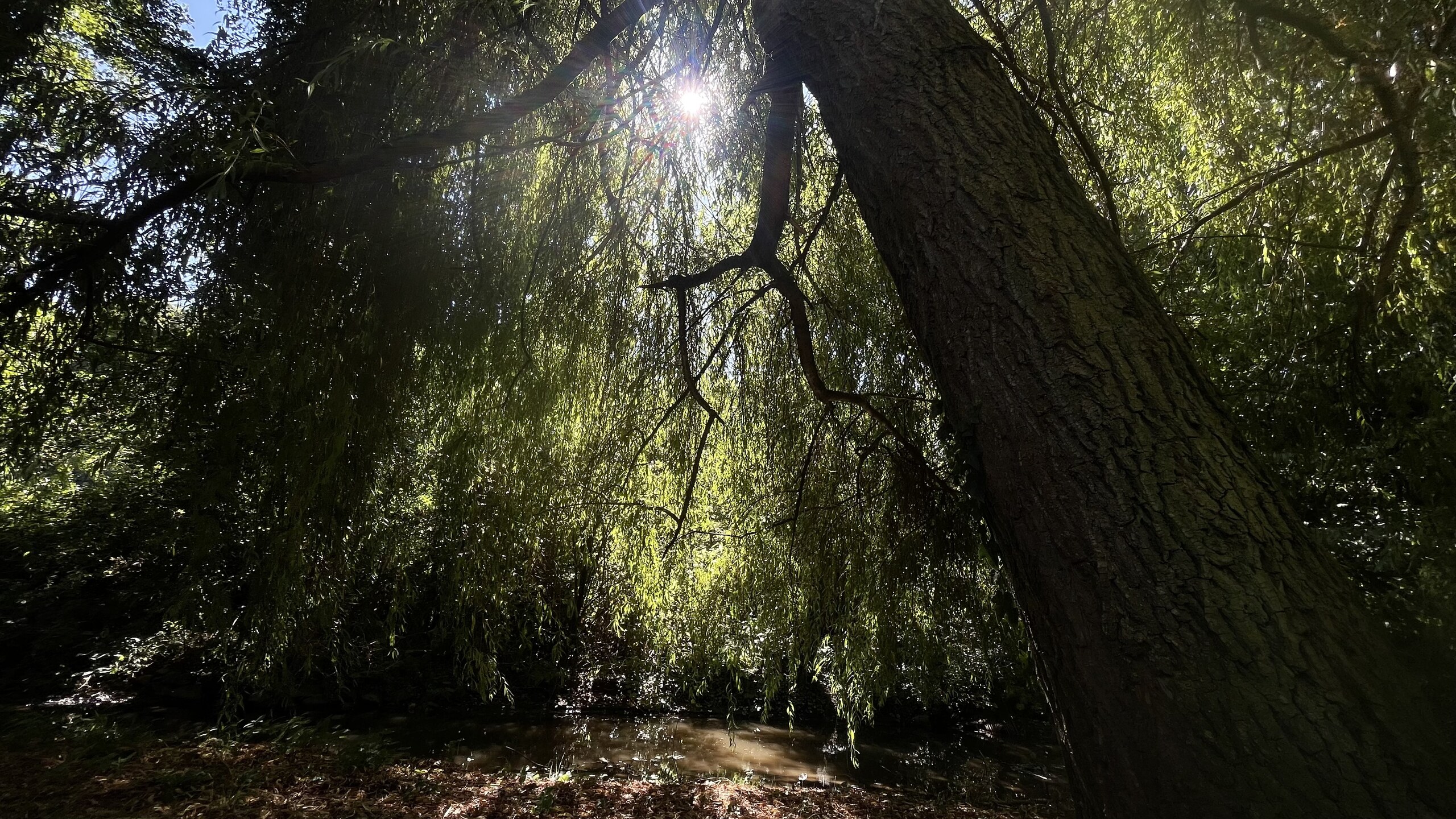 Contast though Light and Shadow – image 2