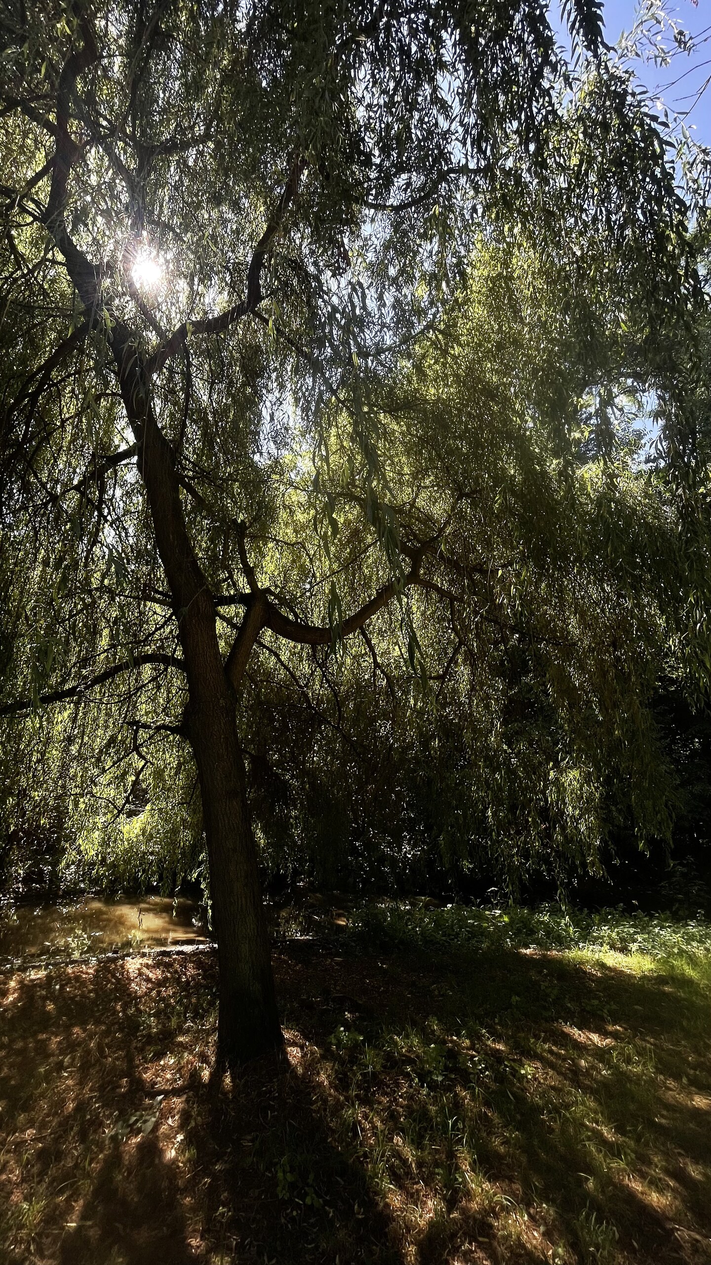 Contast though Light and Shadow – image 3