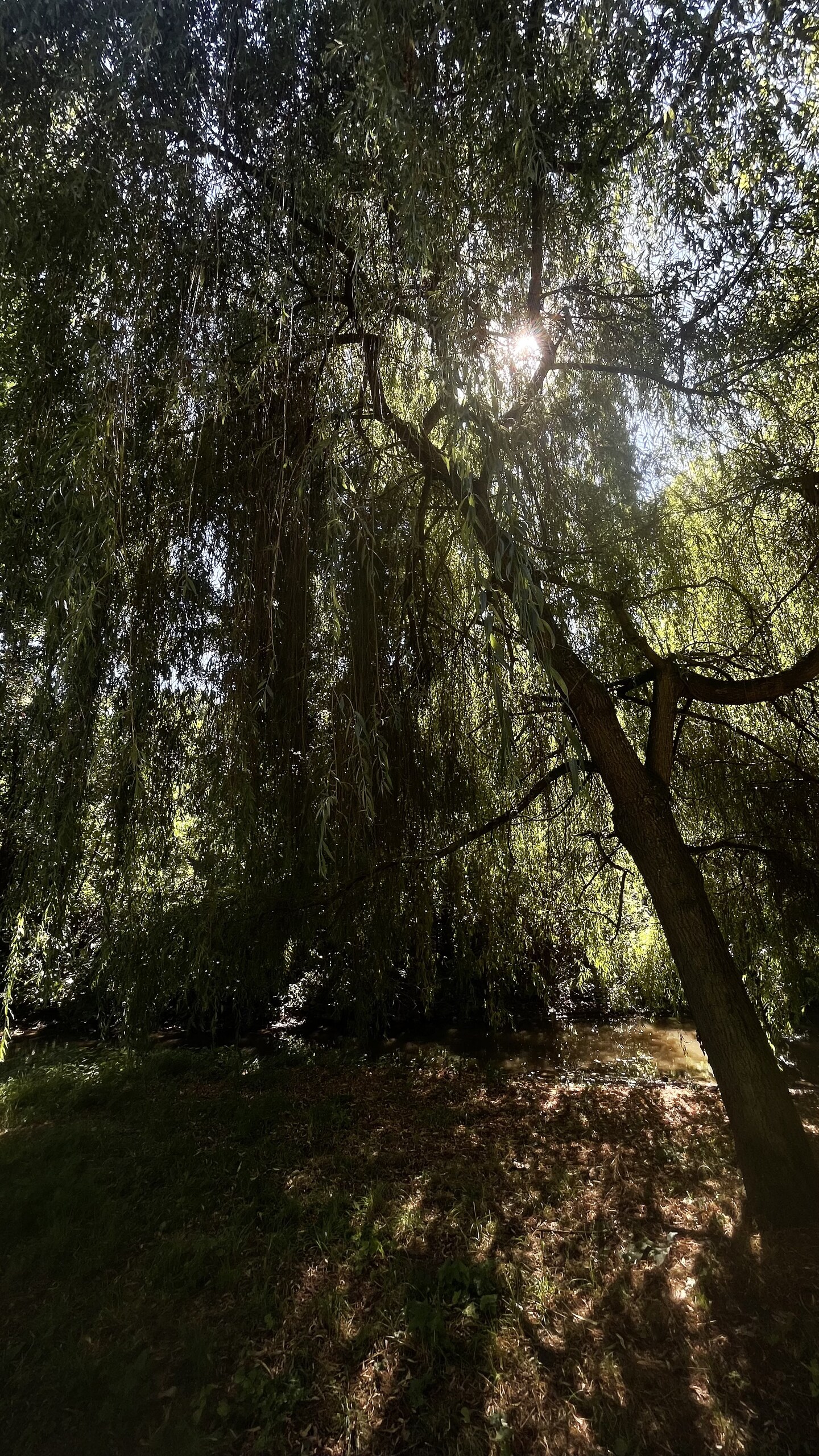 Contast though Light and Shadow – image 4